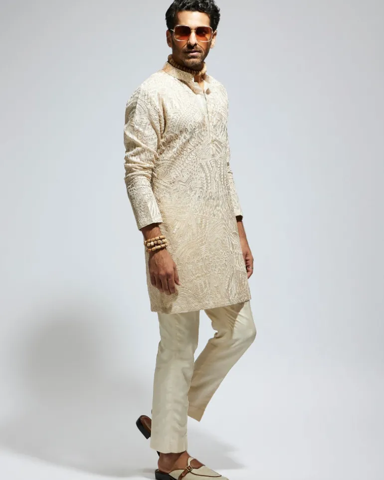 Beige Organza Embroidered Kurta Set