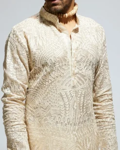 Beige Organza Embroidered Kurta Set