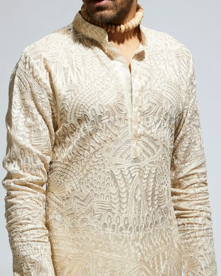 Beige Organza Embroidered Kurta Set