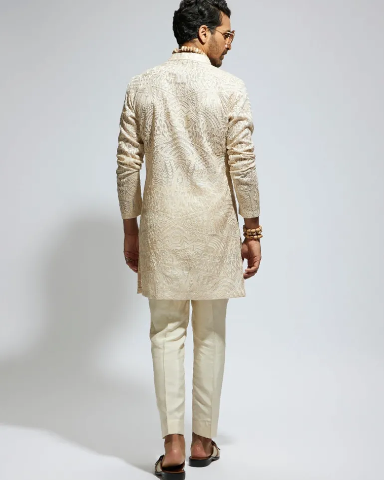 Beige Organza Embroidered Kurta Set