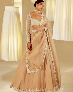 Beige Pearl Embellished Scalloped Lehenga Set