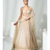 Beige Sequins Lehenga Set