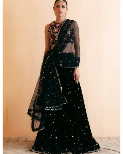 Black Butterfly Tulle Skirt Set