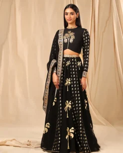 Black Coco Lehenga Set