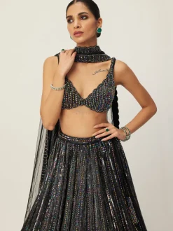 Black Crystal Linear Embroidered Lehenga Set