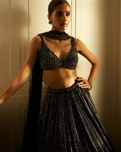 Black Crystal Linear Embroidered Lehenga Set