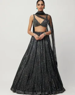 Black Crystal Linear Embroidered Lehenga Set