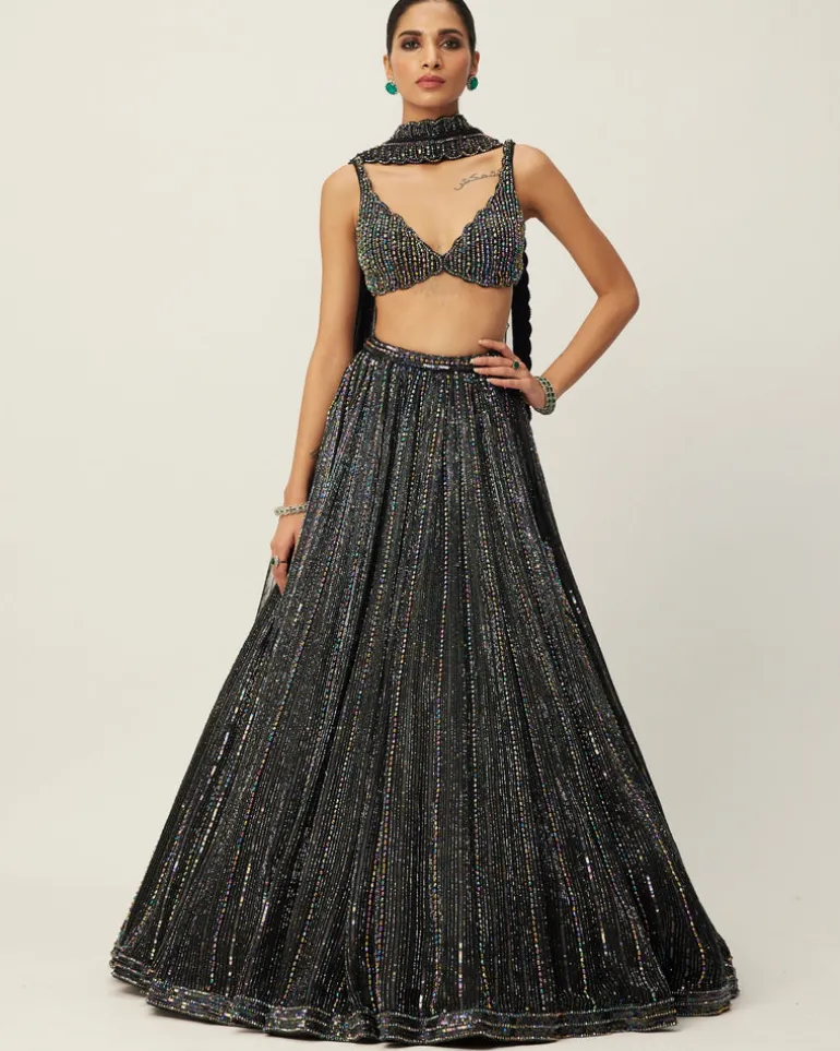 Black Crystal Linear Embroidered Lehenga Set