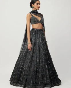 Black Crystal Linear Embroidered Lehenga Set