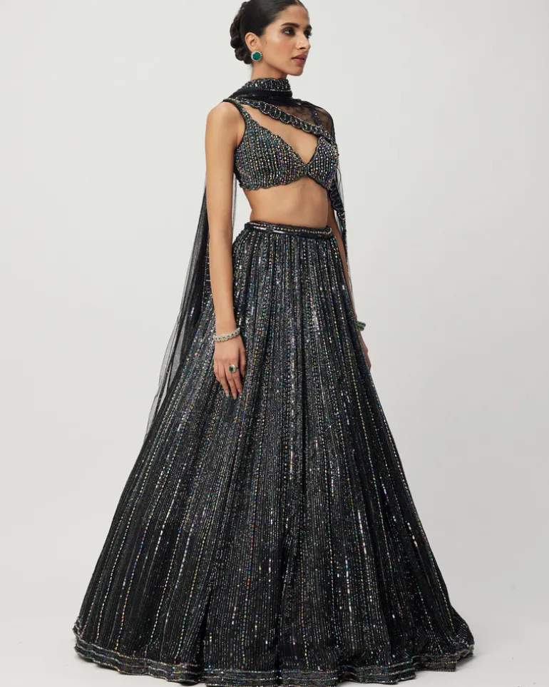 Black Crystal Linear Embroidered Lehenga Set