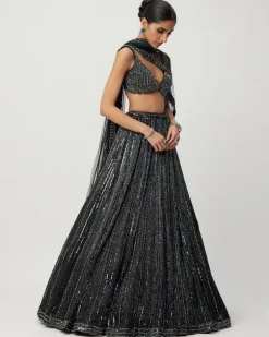 Black Crystal Linear Embroidered Lehenga Set
