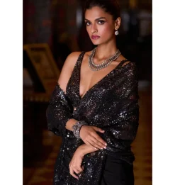 Black Multi-Coloured Sequin Sari