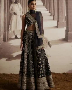 Black Organza Cape With Panel Sharara Set