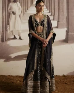 Black Organza Cape With Panel Sharara Set