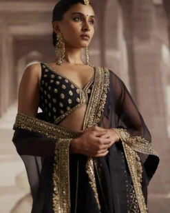 Black Organza Cape With Panel Sharara Set
