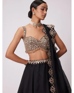Black Organza Lehenga Set