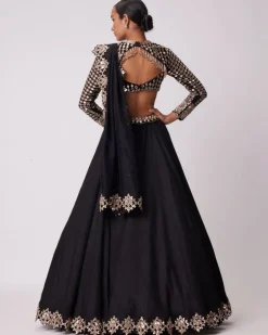 Black Organza Lehenga Set