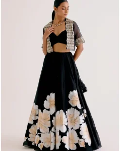 Black Silk Chanderi Hand-Painted Skirt And Cape Set
