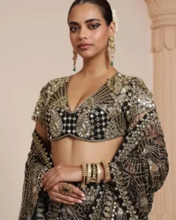 Black Silk Tissue Godet Sari Set