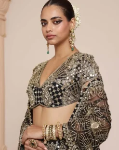 Black Silk Tissue Godet Sari Set