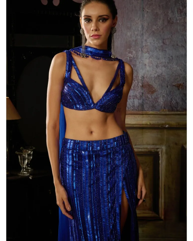 Blue Fully Embroidered Blouse And Slit Skirt With Choker Dupatta