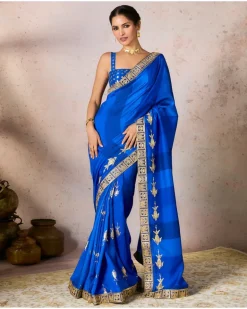 Blue Mystic Sari Set
