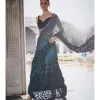 Blue Ombre Cutwork Sari Set