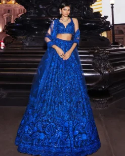 Blue Paisley Lehenga Set