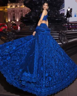 Blue Paisley Lehenga Set