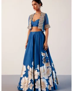 Blue Silk Chanderi Hand-Painted Skirt And Cape Set