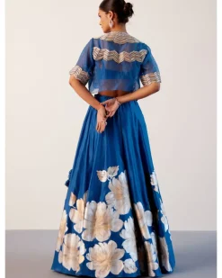 Blue Silk Chanderi Hand-Painted Skirt And Cape Set