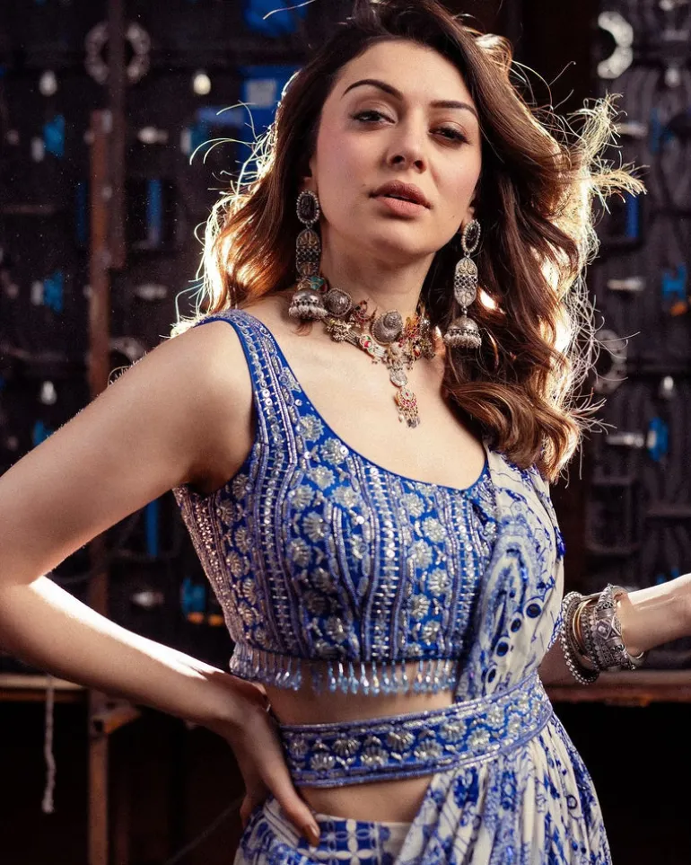 Blue Thikri Print and Highlighted Sari Set