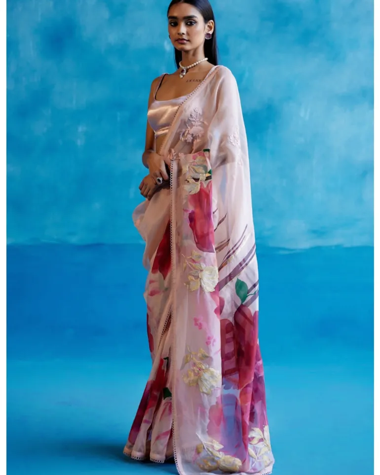 Blush Pink And Red Silk Organza Hand-Painted Embroidered Sari