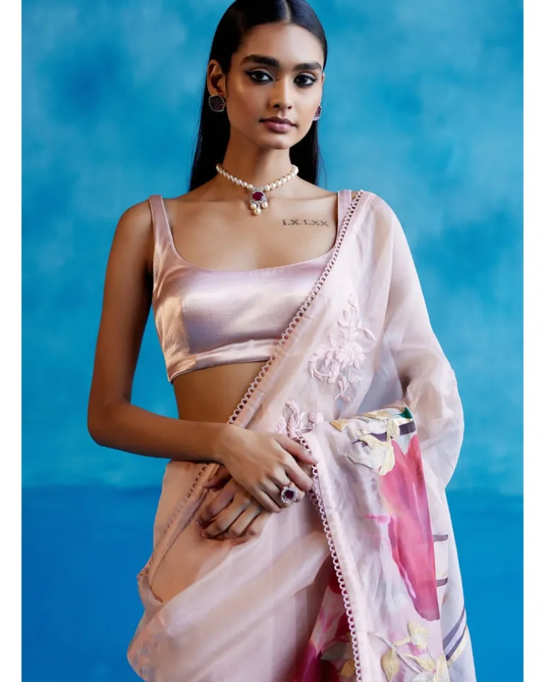 Blush Pink And Red Silk Organza Hand-Painted Embroidered Sari