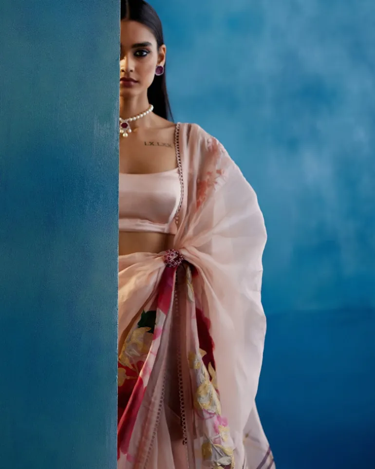 Blush Pink And Red Silk Organza Hand-Painted Embroidered Sari