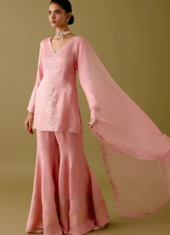 Blush Pink Dori Embroidered Gharara Set