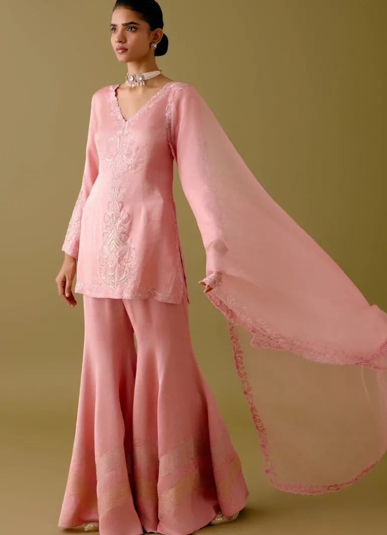 Blush Pink Dori Embroidered Gharara Set