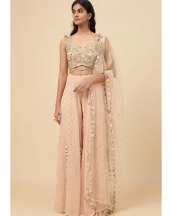 Blush Pink Embroidered Back Tie-Up Choli And Sharara With Dupatta Set