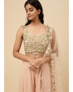 Blush Pink Embroidered Back Tie-Up Choli And Sharara With Dupatta Set