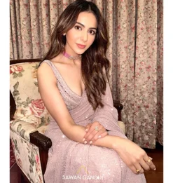 Blush Pink Sequins and Mirrorwork Sari Set