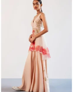 Blush Pink Silk Organza Hand-Painted Embroidered Sharara Set