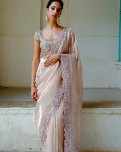 Blush Zari Sari Set