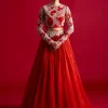 Bold Ambi Blouse And Organza Skirt Set