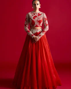 Bold Ambi Blouse And Organza Skirt Set