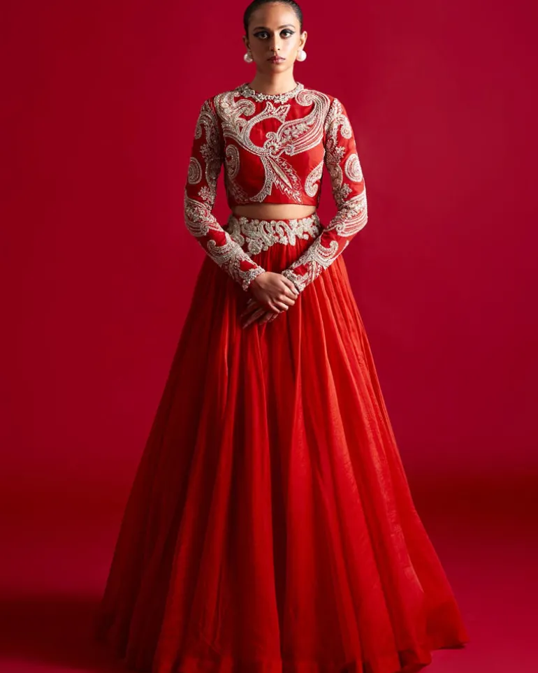 Bold Ambi Blouse And Organza Skirt Set
