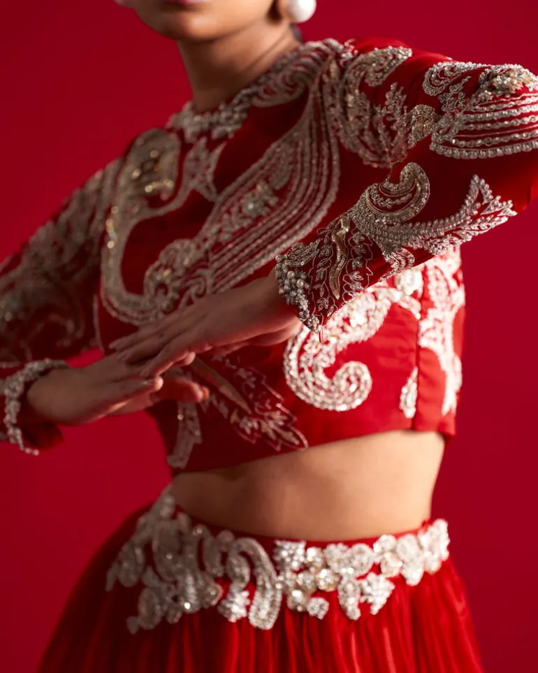 Bold Ambi Blouse And Organza Skirt Set