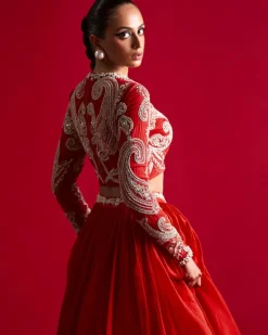 Bold Ambi Blouse And Organza Skirt Set