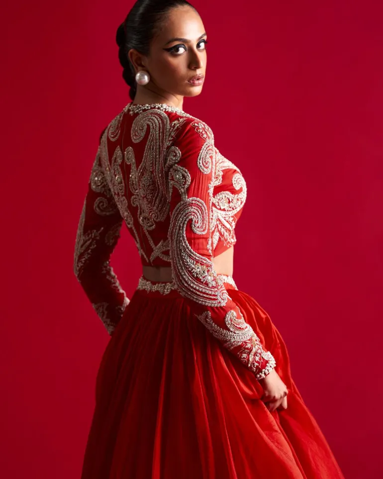 Bold Ambi Blouse And Organza Skirt Set