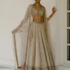 Booti & Jaal Panel Tissue Lehenga