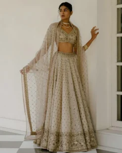 Booti & Jaal Panel Tissue Lehenga